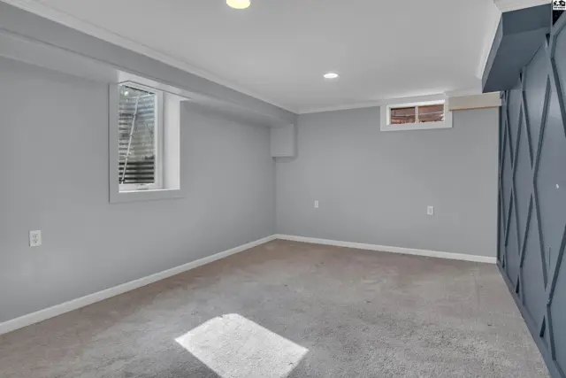 This room features light grey walls, carpeted flooring, and two windows with blinds.