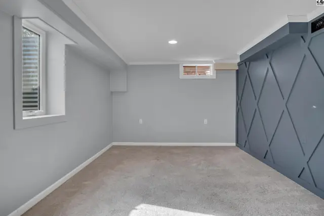 Finished basement with carpeted floor, light grey walls, and a decorative blue wall panel.