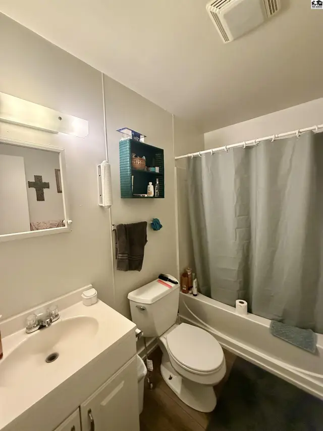 This bathroom features a vanity, toilet, and bathtub with a shower curtain.