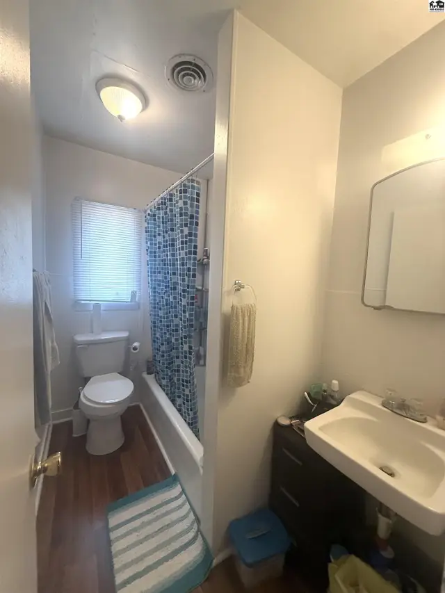 This bathroom features a white toilet, bathtub with a mosaic tile shower curtain, and a vanity with a sink.