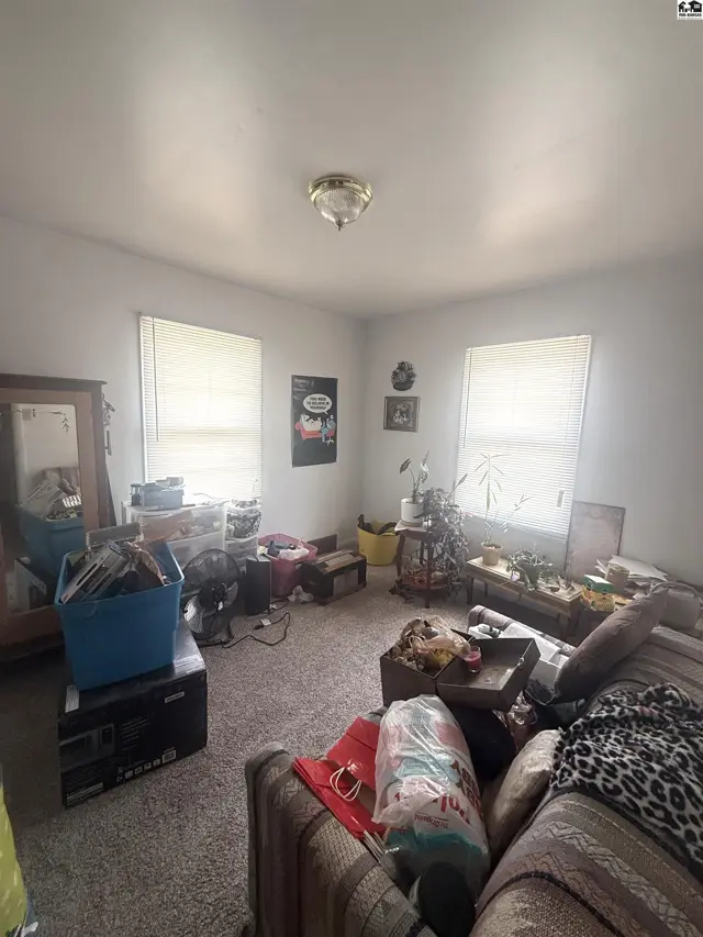 This living room features carpeted floors, white walls, and two windows with blinds.