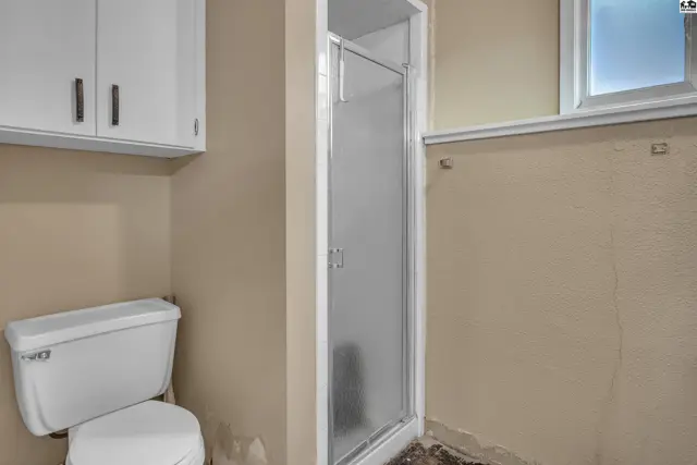 This bathroom features a toilet, a frosted glass shower enclosure, and white cabinetry.