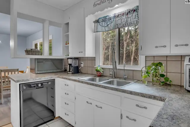 White cabinets, a double sink, and a dishwasher are featured in this kitchen.