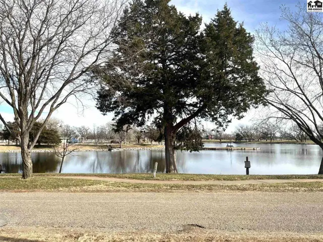 A large evergreen tree stands beside a calm lake with bare trees in the foreground.