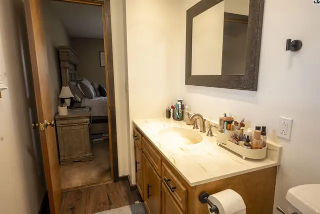 This bathroom features a vanity with a marble countertop and a large mirror.