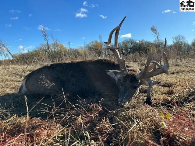 Photo of 000 E Deer Dr, Tescott, KS
