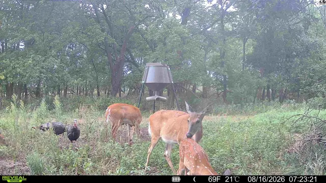 Photo of 000 E Deer Dr, Tescott, KS