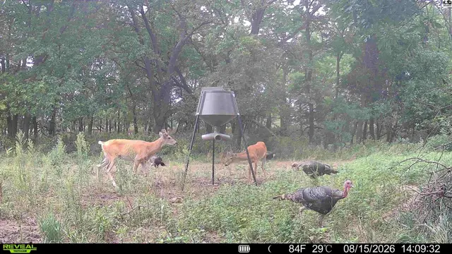 Photo of 000 E Deer Dr, Tescott, KS