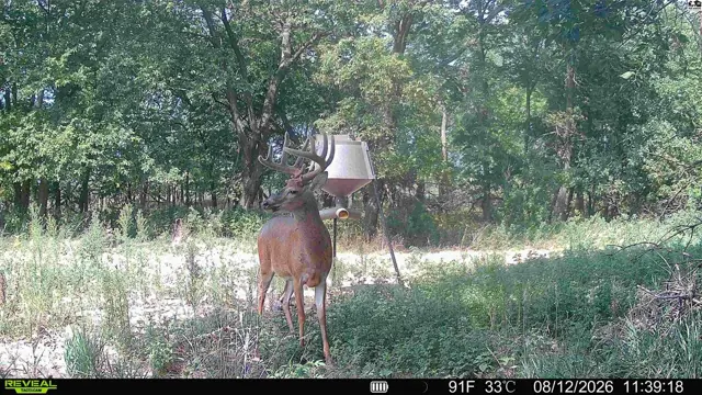 Photo of 000 E Deer Dr, Tescott, KS