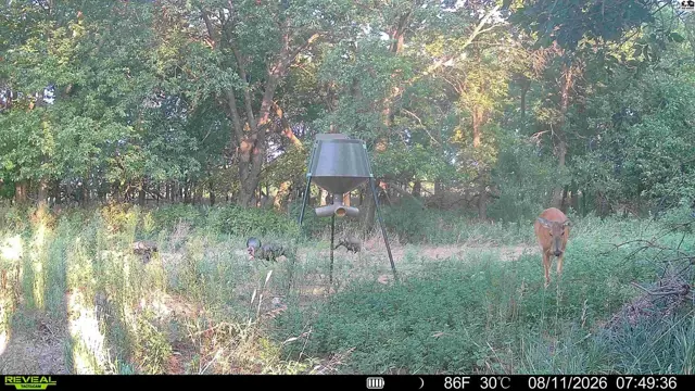 Photo of 000 E Deer Dr, Tescott, KS
