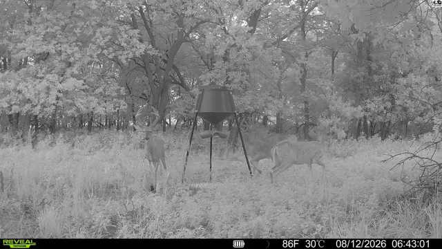 Photo of 000 E Deer Dr, Tescott, KS