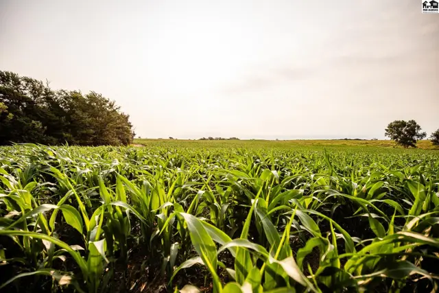 Photo of 165 N 290th Rd, Tescott, KS