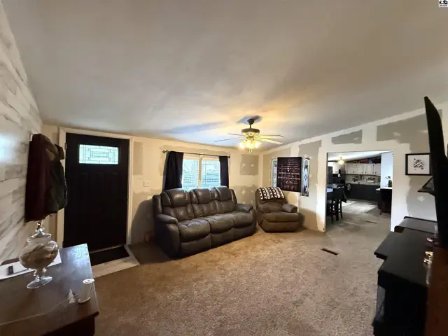 Spacious living room with plush carpet, leather sofa, and a ceiling fan.