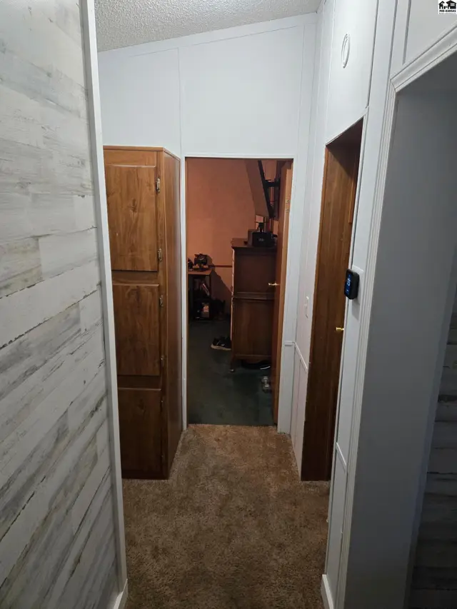 Hallway with wood-paneled walls, carpet, and a tall wooden cabinet.
