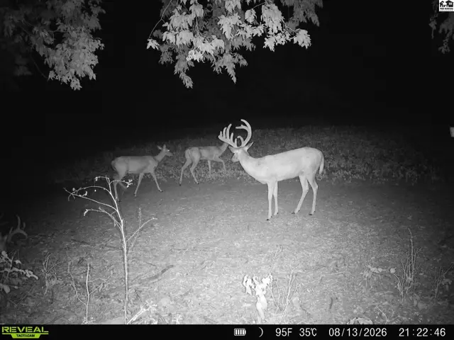 Photo of 000 13th Ave, Lindsborg, KS