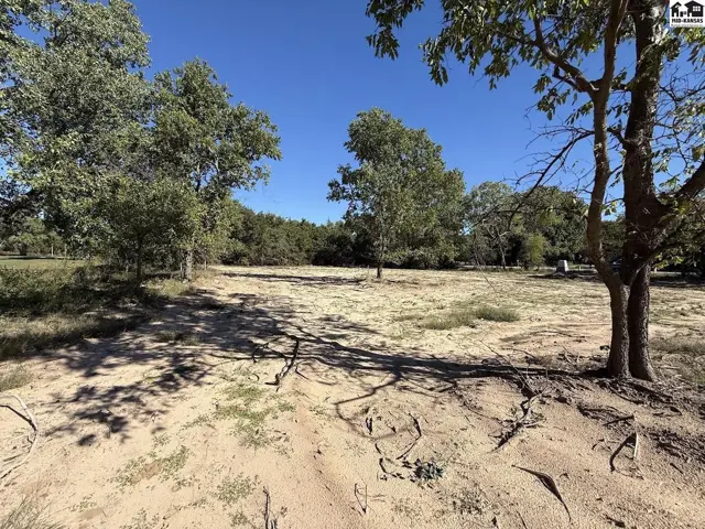 Expansive cleared lot with mature trees and natural landscaping under a clear blue sky.