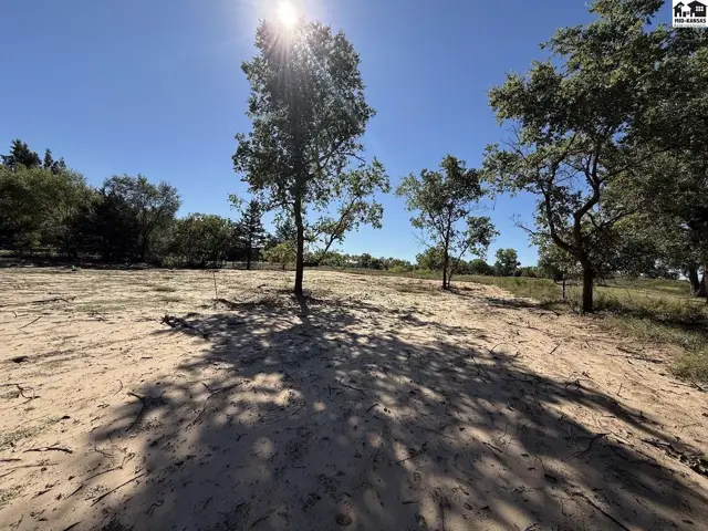 Sandy ground with scattered trees under a bright, sunny sky.