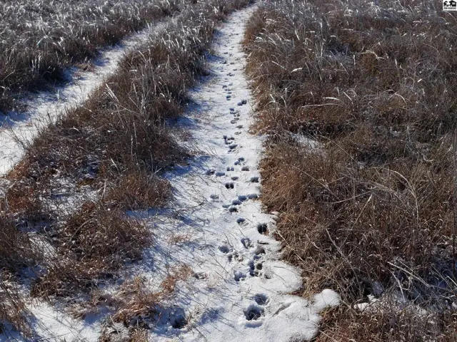 Photo of 0000 N County Rd, Coldwater, KS