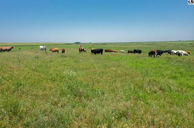 Photo of 0000 N County Rd, Coldwater, KS
