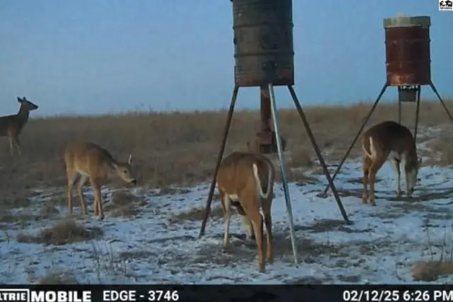 Photo of 0000 N County Rd, Coldwater, KS