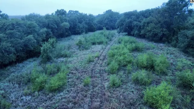 Photo of 00000 S Dean RD, Pretty Prairie, KS