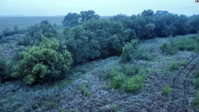 Photo of 00000 S Dean RD, Pretty Prairie, KS