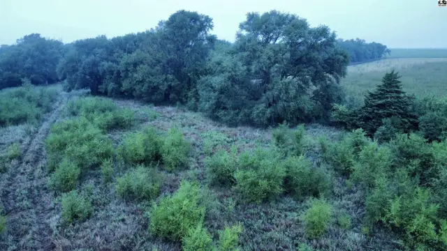 Photo of 00000 S Dean RD, Pretty Prairie, KS