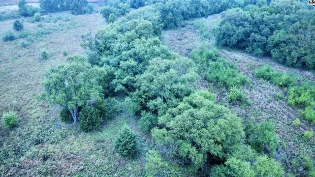 Photo of 00000 S Dean RD, Pretty Prairie, KS