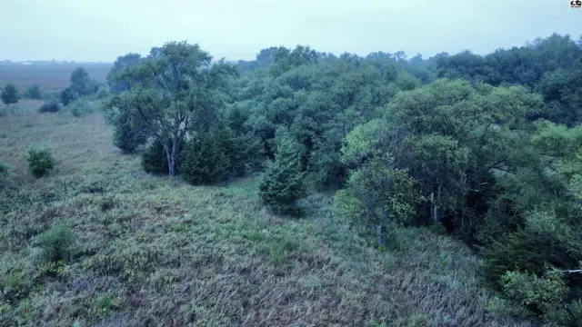 Photo of 00000 S Dean RD, Pretty Prairie, KS