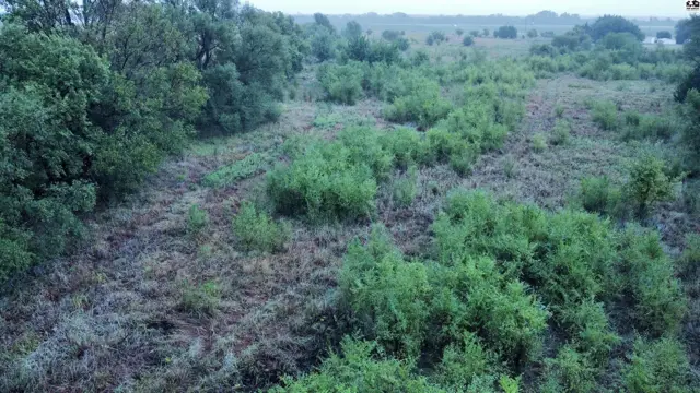 Photo of 00000 S Dean RD, Pretty Prairie, KS