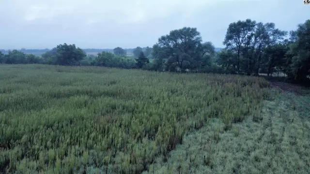 Photo of 00000 S Dean RD, Pretty Prairie, KS