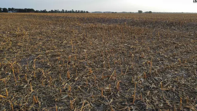 Photo of 00000 Chisholm RD, Inman, KS
