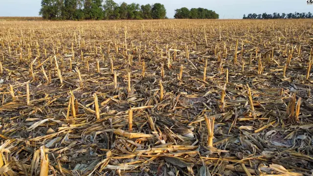 Photo of 00000 Chisholm RD, Inman, KS