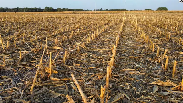 Photo of 00000 Chisholm RD, Inman, KS
