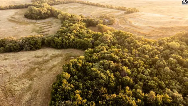 Photo of 000 N Simpson Rd, New Cambria, KS