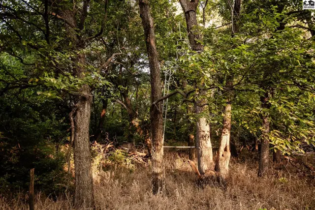 Photo of 000 N Simpson Rd, New Cambria, KS