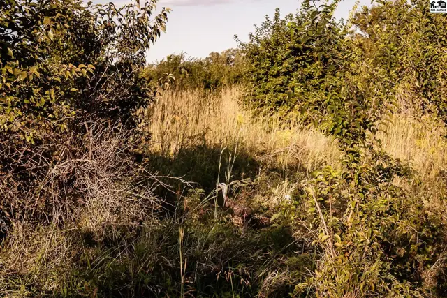 Photo of 000 N Simpson Rd, New Cambria, KS