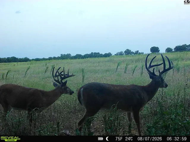Photo of 000 N Simpson Rd, New Cambria, KS