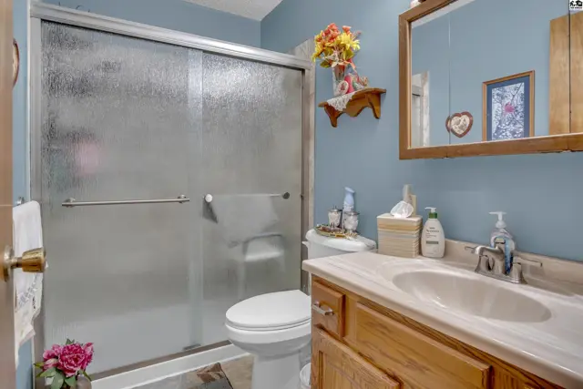This bathroom features a vanity with a wood cabinet, a toilet, and a glass-enclosed shower.