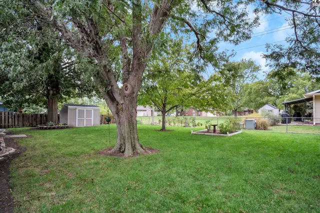 Spacious green lawn with mature trees, a storage shed, and a fenced backyard.
