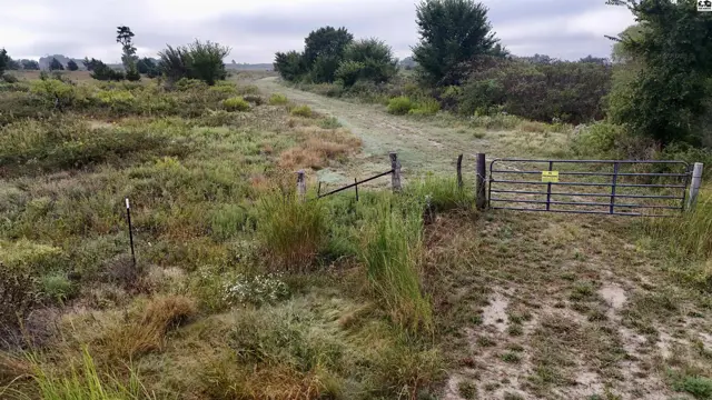 Photo of 3900 N Wheat State Rd, Burrton, KS