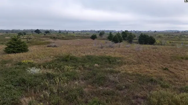 Photo of 3900 N Wheat State Rd, Burrton, KS
