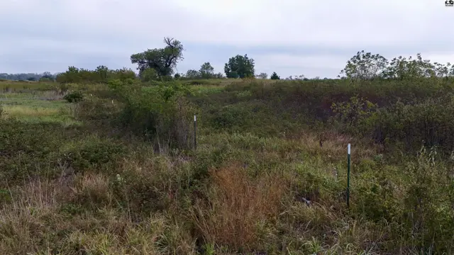 Photo of 3900 N Wheat State Rd, Burrton, KS