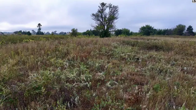 Photo of 3900 N Wheat State Rd, Burrton, KS