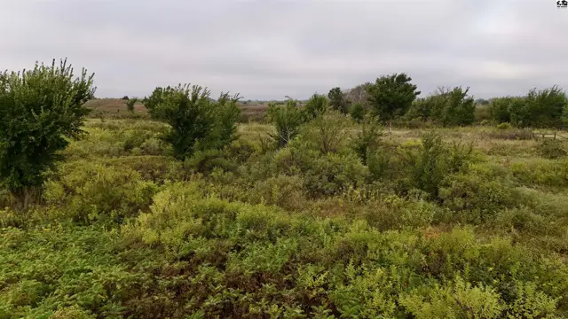 Photo of 3900 N Wheat State Rd, Burrton, KS