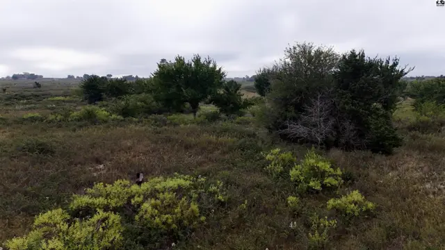 Photo of 3900 N Wheat State Rd, Burrton, KS