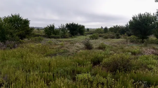 Photo of 3900 N Wheat State Rd, Burrton, KS