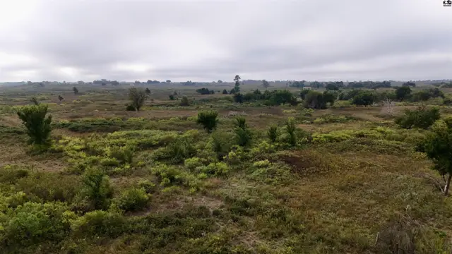 Photo of 3900 N Wheat State Rd, Burrton, KS