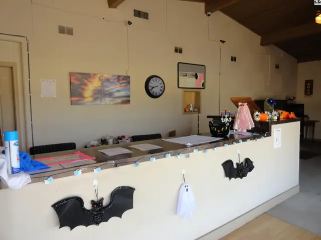 A long counter with a wood-paneled ceiling and wall-mounted decorations.