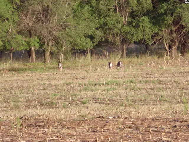 Photo of 00000 SE 150th, Cheney, KS